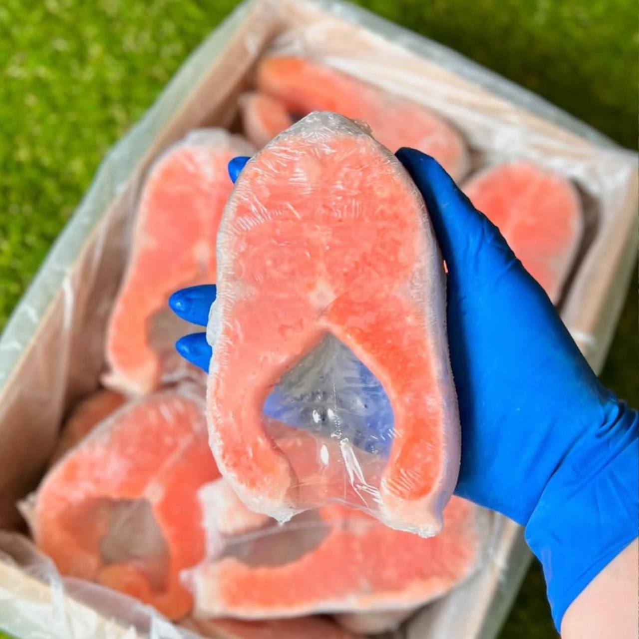 Стейки Лосося