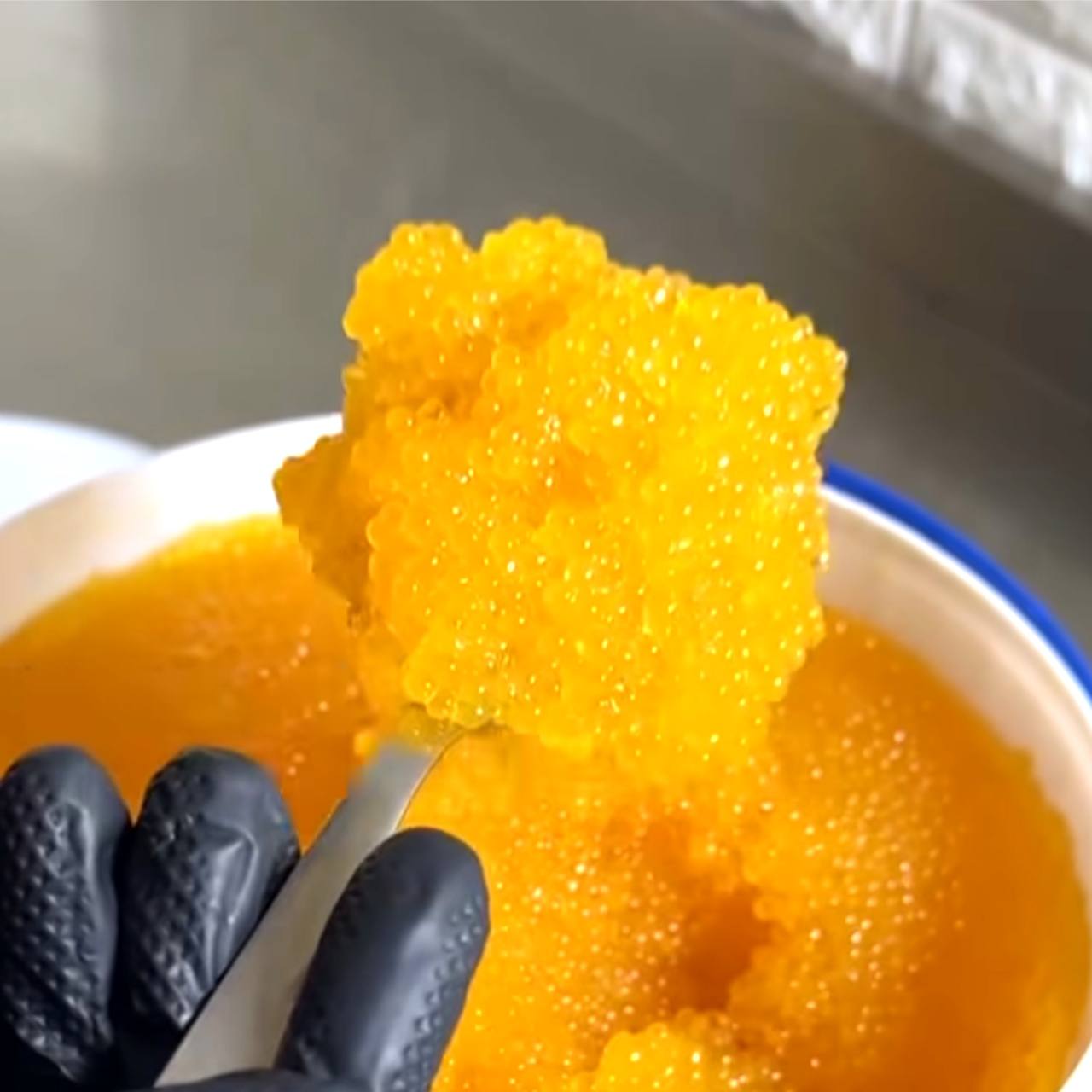 Икра Гольца